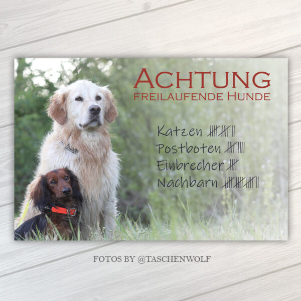 Basic Tiercollage mit einem Golden Retriever und einem Langhaar-Dackel-Welpen als Warnschild "Freilaufende Hunde"