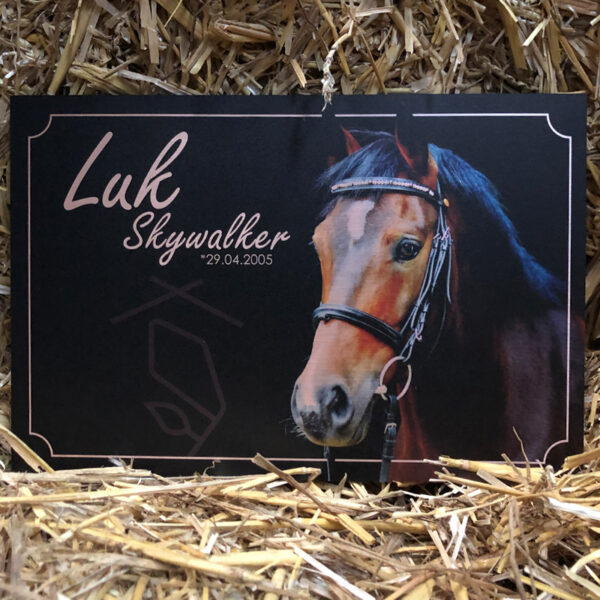 Boxenschild mit einem Pferd und rosegoldenen Akzenten auf einer gebürsteten Aluplatte auf Stroh liegend